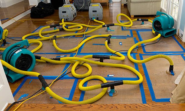 Professional Crawl Space Water Removal technician working in Mindoro, WI